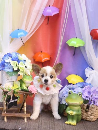 20230623マリンちゃん